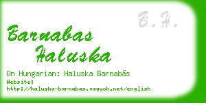 barnabas haluska business card
